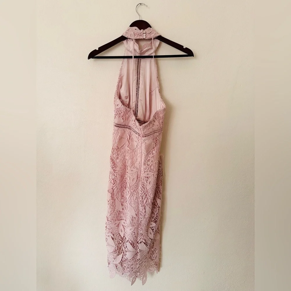 NEW Bardot Soft Pink Willow Floral Lace Dress - Picture 4 of 6